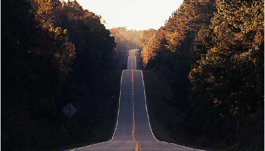 A picture of a long road surrounded by fall trees, depicting a Fall vacation you can take with Royal Holiday Vacation Club