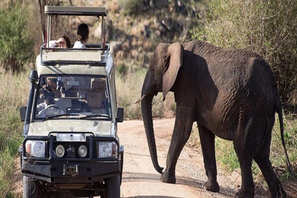 Exploring East Africa on a Budget: 6 Tips for Affordable Adventures: A Journey of a Lifetime